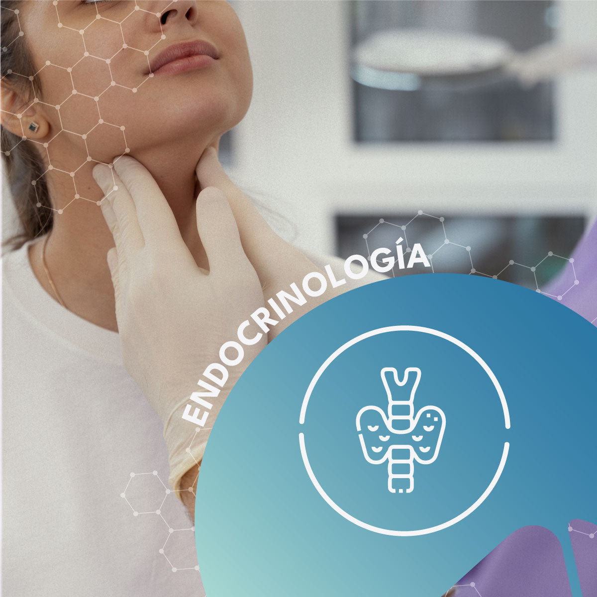 Endocrinología