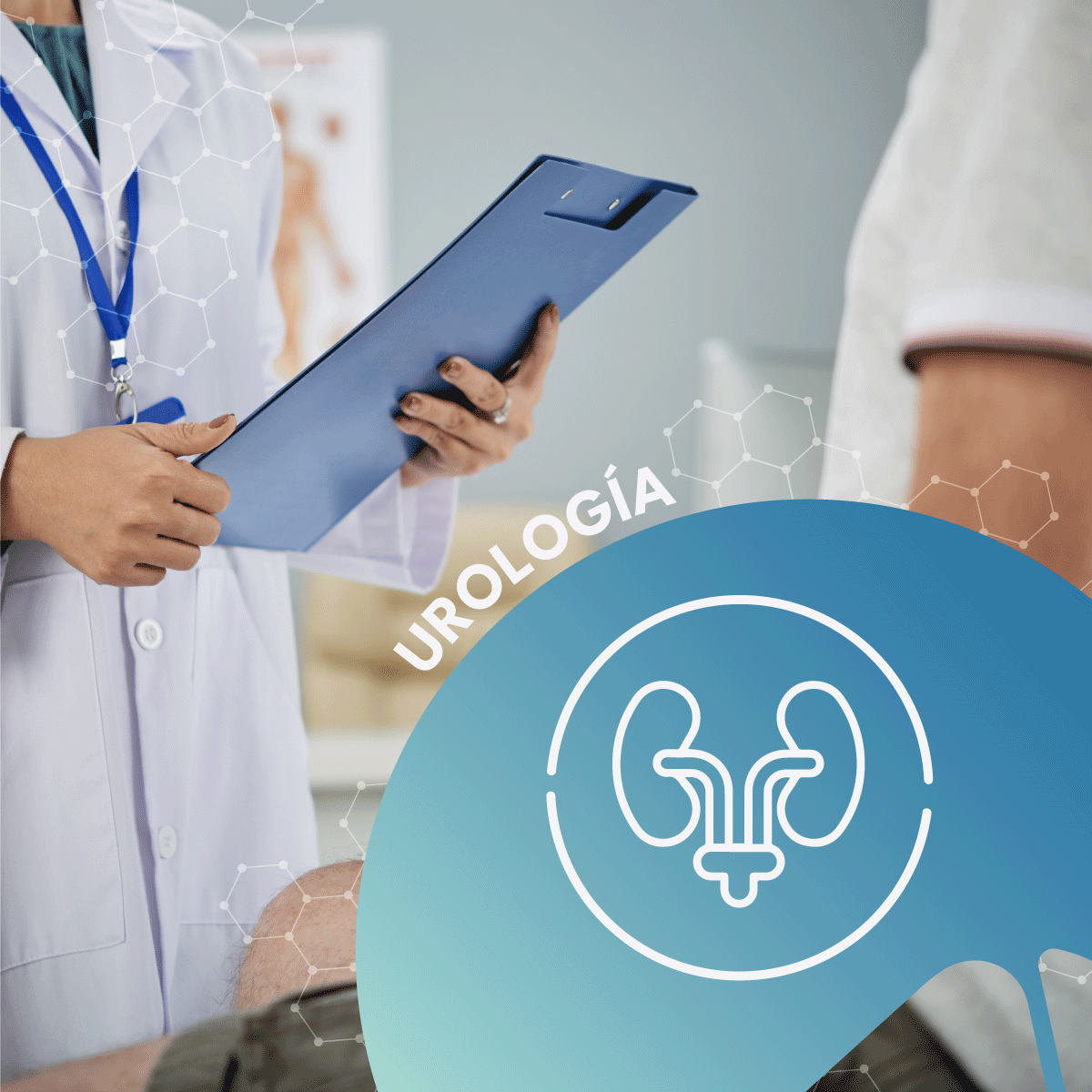 Urología