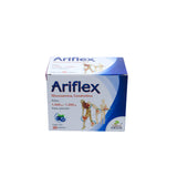 Ariflex Glucosamina, Condroitina 1.500 g / 1.200 g Caja C/30